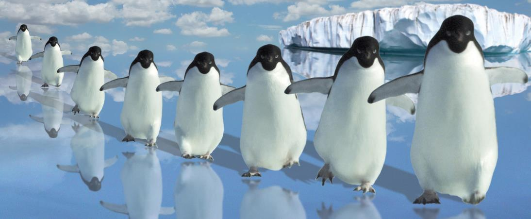 Maakuntauudistus www.ks2019.