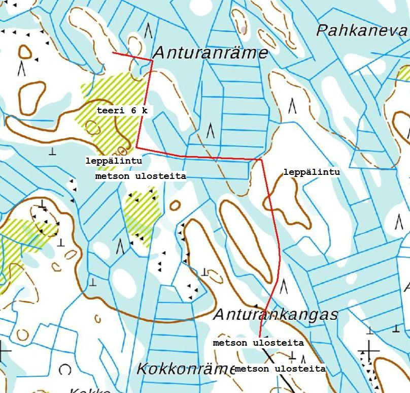 9 2.2 Linnut ja liito-orava Pesimälinnusto reitin varrella koostui valtaosin tavanomaisista ja yleisistä havu- ja sekametsille ominaisista lintulajeista.