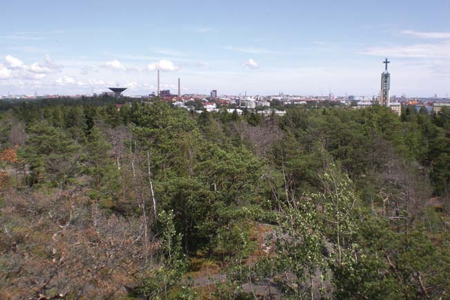 2.2. Suunnitelma-alueen yleisanalyysit 2.2.1.