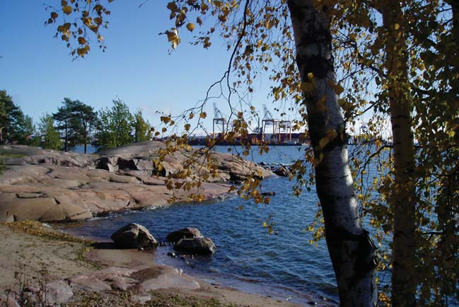 PUISTOT 5. PUISTOT 5.1. Viheralueiden nykytila ja ongelmat Lauttasaaressa on kattava viheralueverkosto, joka koostuu rakennetuista puistoista ja luonnonalueista.