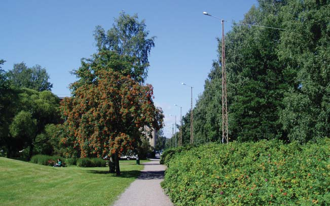 PUISTOT Alueella on paljon korkeakasvuisia pensaskasvustoja. Monet pensaat ovat vanhoja ja risuisia. Tyypillistä lajistoa ovat kurttulehtiruusut, syreenit ja kuusamat.