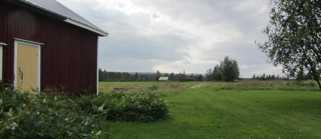 Näkymä Törmäsenkankaalta etelään kohti kylää.
