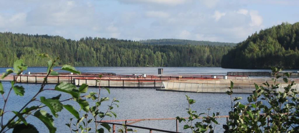 Kauniisti maisemoitu sähkökenttä voimalaitoksen kupeessa.