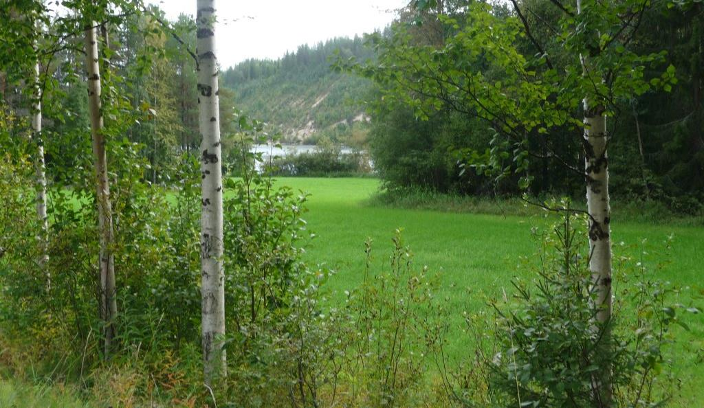 Sisältö 1 JOHDANTO... 2 2 KYLÄRAKENTEEN EDULLISUUS MUIDEN YMPÄRISTÖSELVITYSTEN KANNALTA... 2 3 KYLÄRAKENTEEN EDULLISUUS MAISEMALLISELTA JA KYLÄKUVALLISELTA KANNALTA.