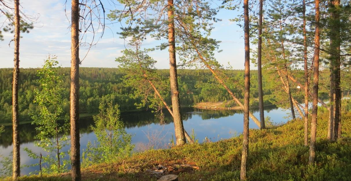 Näkymä Hyypiöharjulta Puurusenniemen