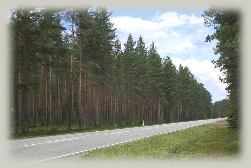 POHJAVESIALUEIDEN SUOJELUSUUNNITELMA 42 PITKÄKANKAAN POHJAVESIALUE TOIMENPIDESUOSITUKSET Teollisuus- ja yritystoiminta Harmaakiven yritysalueen toimintaa tulee valvoa säännöllisin tarkastuksin.