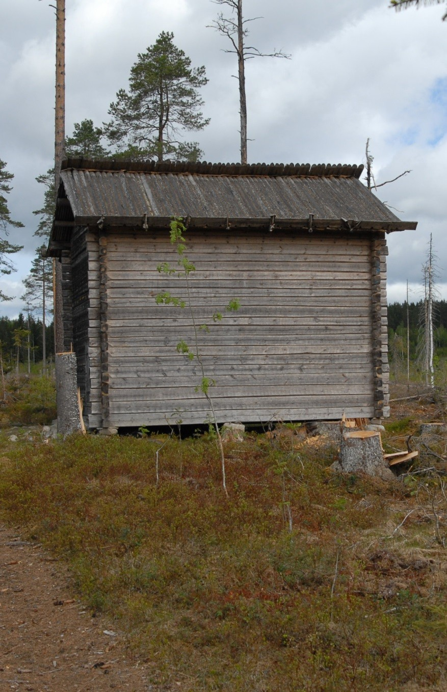 Kaskikulttuurin