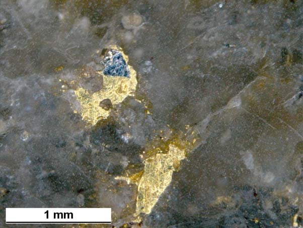 Kuva 3. Kultarakeita Anian lohkareesta sahatuissa näytteissä (ylemmän kuvan skaalan numeroväli on 10 mm); näytteiden isäntäkivi on kuvassa 4.