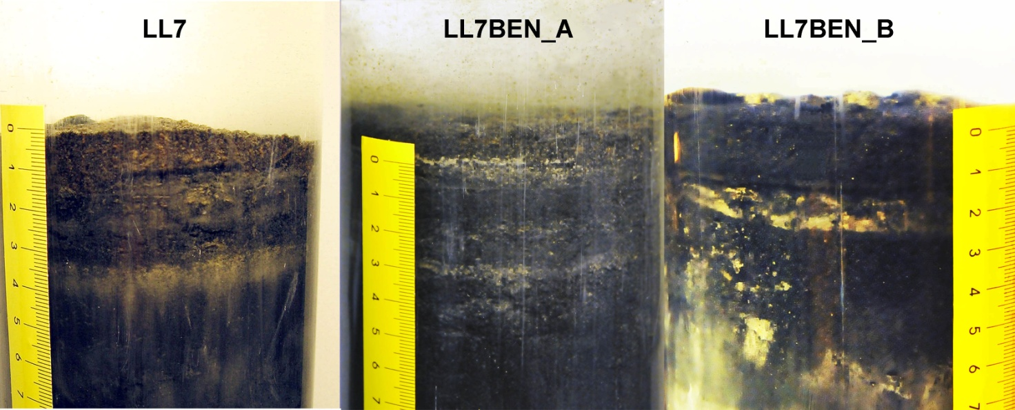 Table 1. Sampled stations, their locations, depths, samples taken and their approximate perpendicular distance from the pipeline route.