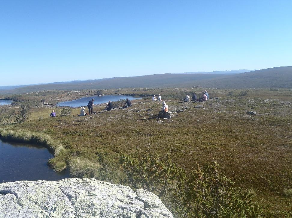 Tauot Jos on kuuma tai kylmä, varustetauko n. 15 minuuttia lähdöstä, fleecet pois. Tauot vähintään 45 minuutin välein ja/tai kauniilla paikalla tai kun luonnosta löytyy ihmeteltävää.