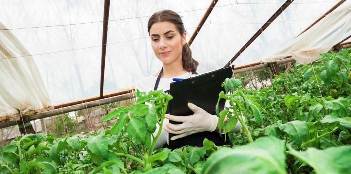Elintarviketeollisuuden haasteet Consumer demands Demand for healthy and sustainable solutions Combining tasty, healthy and convenient Process aspects Integration of