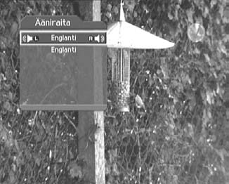 4. Perustoiminnot 3. Ääniraita Jos katsomaasi ohjelmaa voi kuunnella erikielisinä, voit valita haluamasi kielen. 1. Paina OPT+ 2. Valitse Ääniraita 3. Valitse kieli -painikkeella. 4.