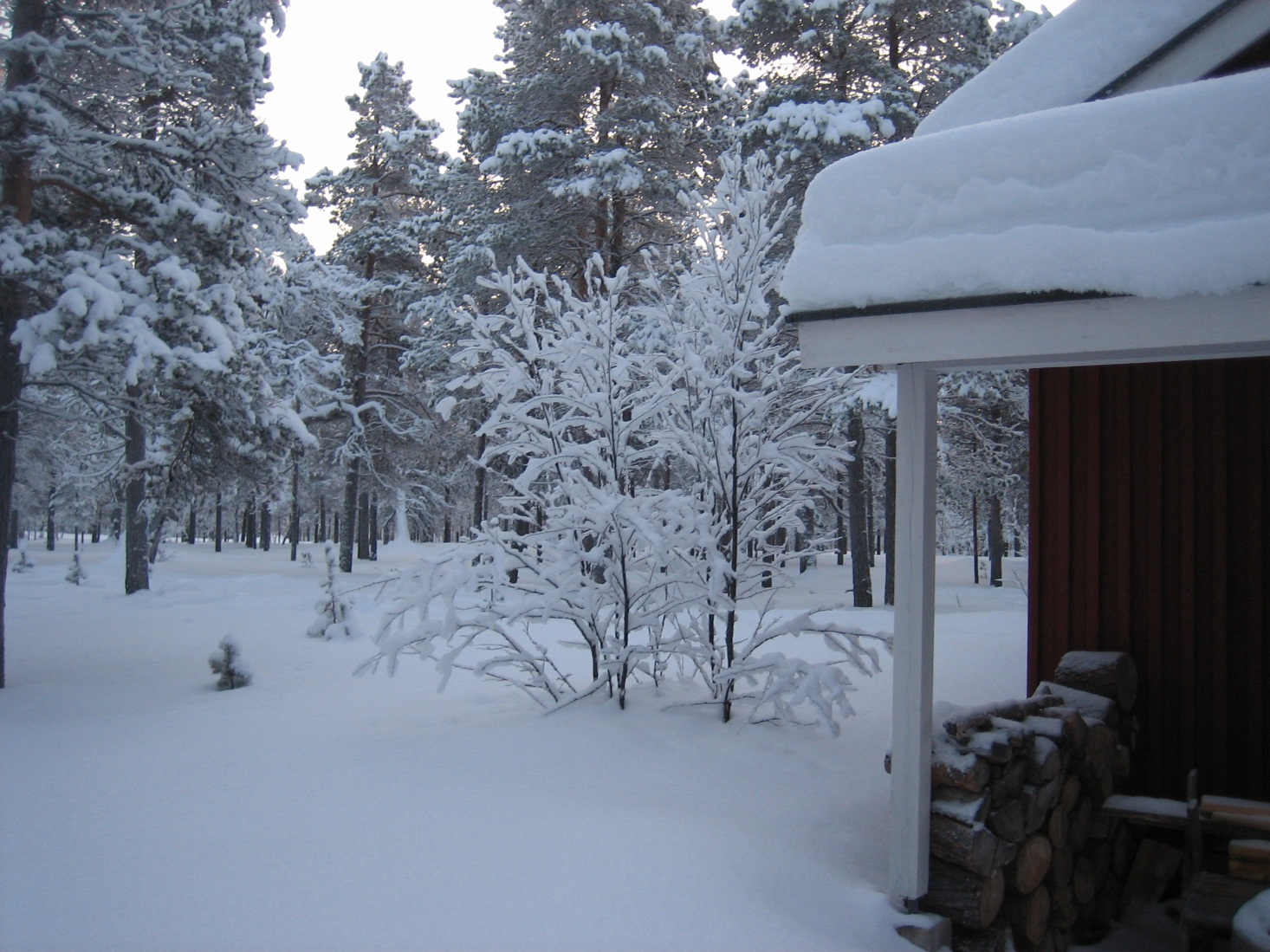TÄ LVVSIJDD - KOLTTAKULTTUURIKESKUS SEVETTIJÄRVELLE S T R A T E G I A L Ä H T Ö I N E N T I L A - J A T O I M I N TA S U U N N I T E L M A H A N K E S U U N N I T E L M A 31. 05.