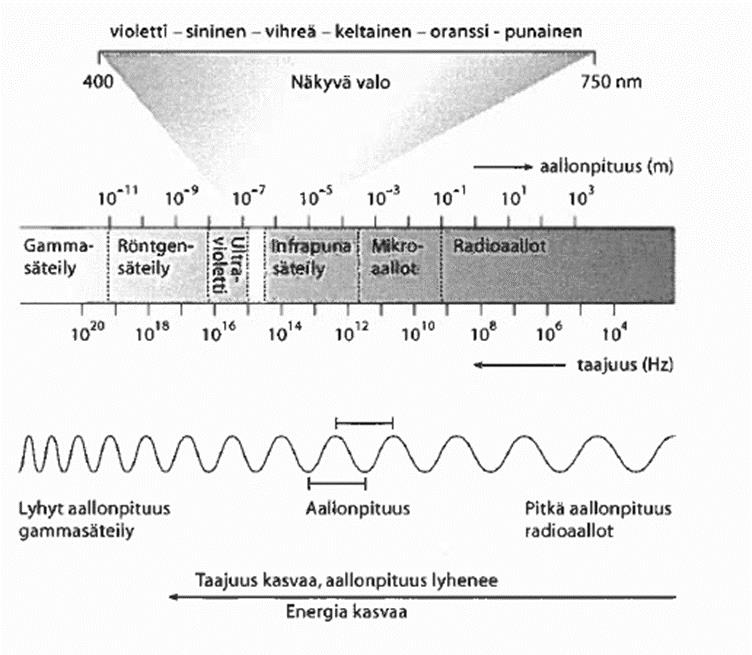 Kuva 1. Sähkömagneettisen säteilyn aallonpituus ja taajuus. (Lehtonen & Sihvonen 2004, 213). Kun sähkömagneettisen säteilyn aallonpituus kasvaa, säteilyn energia pienenee.
