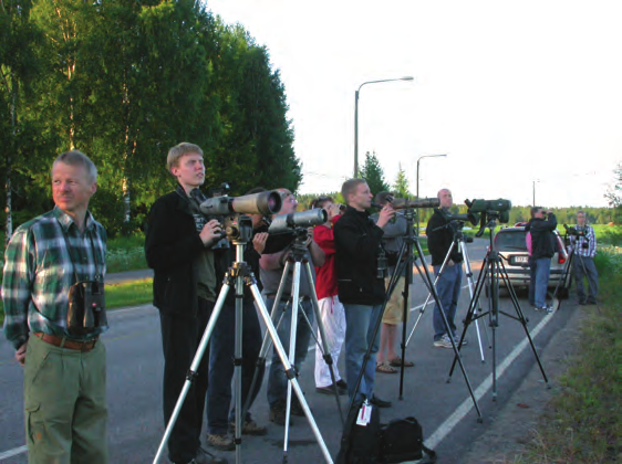 Siipirikko 4/2008 Siperiankurppa Värtsilässä uusi laji Suomelle Hannu Kivivuori Kesäkuussa 2002 istuin Ilomantsissa, Patvinsuon opastuskeskuksen nuotiolla Suomujärven patikkapolun kiertäneenä.