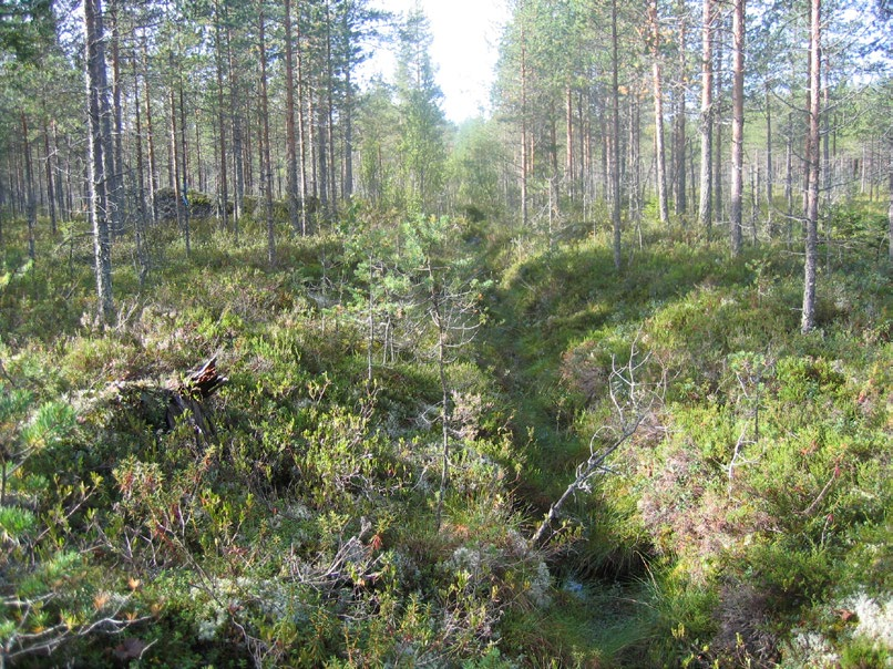 Taulukko 1. Heinäsuon eri syvyysalueiden pinta-alat, keskisyvyydet ja turvemäärät. Syvyysalue Pinta-ala (ha) Keskisyvyys (m) Turvemäärä (milj. suo-m 3 ) Pintakerros H 1-10 C-t Yht.