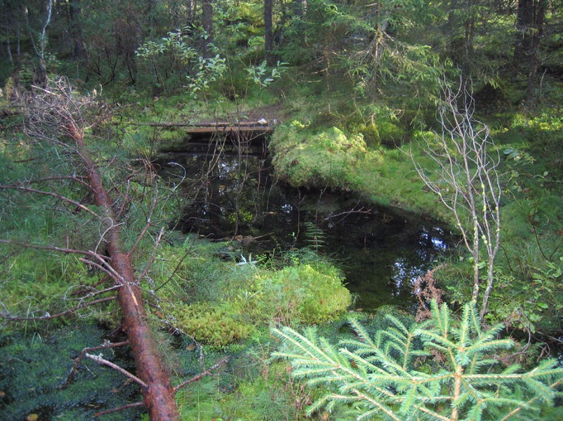 Lapinlahdella (Varpaisjärvellä) tutkitut suot ja niiden turvevarat. Osa 6. Heinäsuolla on 45 ha:n alueella energiatuotantoon soveltuvaa turvetta kuudessa eri altaassa yhteensä 0,85 milj. suo-m 3.