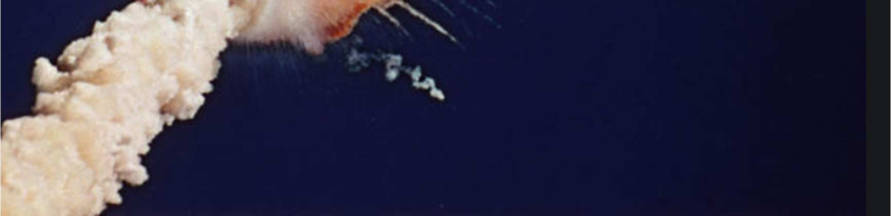 Challenger on January 28, 1986 Disintegration of the vehicle began