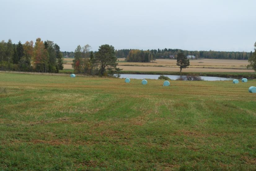 FCG SUUNNITTELU JA TEKNIIKKA OY Mikonkeitaan tuulivoimapuisto 220 Siikaisten talonpoikaisarkkitehtuuri RKY 2009 -kohteeseen Siikaisten talonpoikaisarkkitehtuuri sisältyy agraarimaisemassa