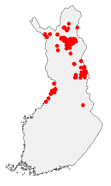 Merikotka, Pohjois-Suomi Kannan koko ja levinneisyys Merikotkien runsastuminen Pohjois-Suomessa alkoi 1970-luvun lopulla Lokan ja Porttipahdan tekoaltaiden ympäristössä.