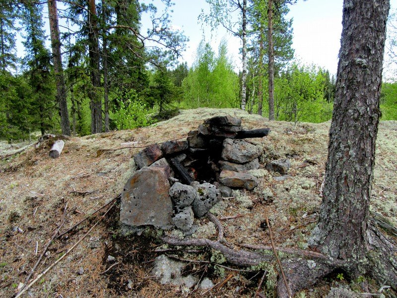 24 Kuva 19. Aluetta voimalapaikan 9 lounaispuolella. Tasainen kuivahko kangas, nuorta kasvatusmetsikköä / taimikkoa. Kuva 20.