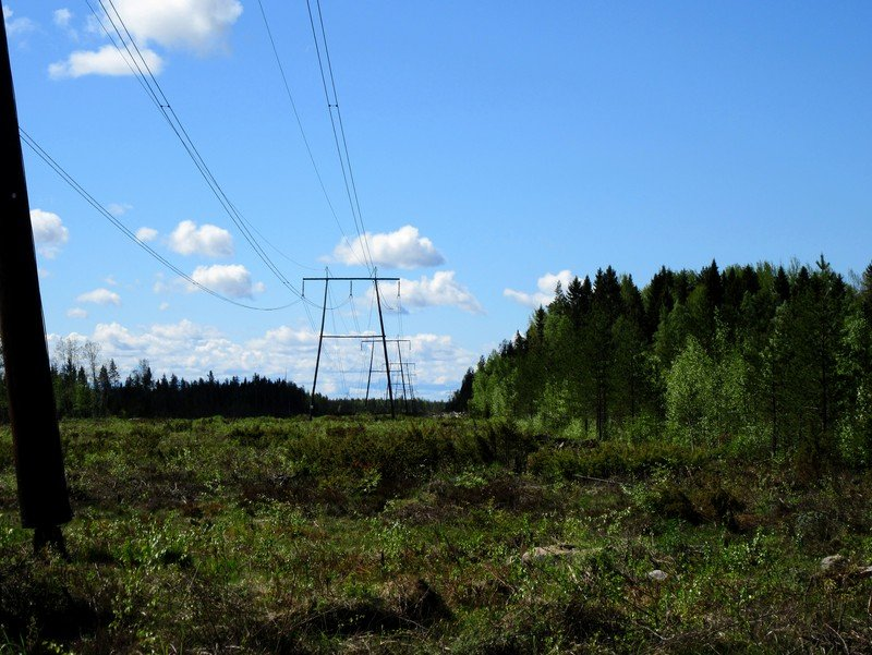 27 Kuva 28. Ulkopuolinen sähkönsiirtoreitti Ve 3 kuvattu itään. Tasainen kivinen kangas, erirakenteista metsää. Kuva 29.