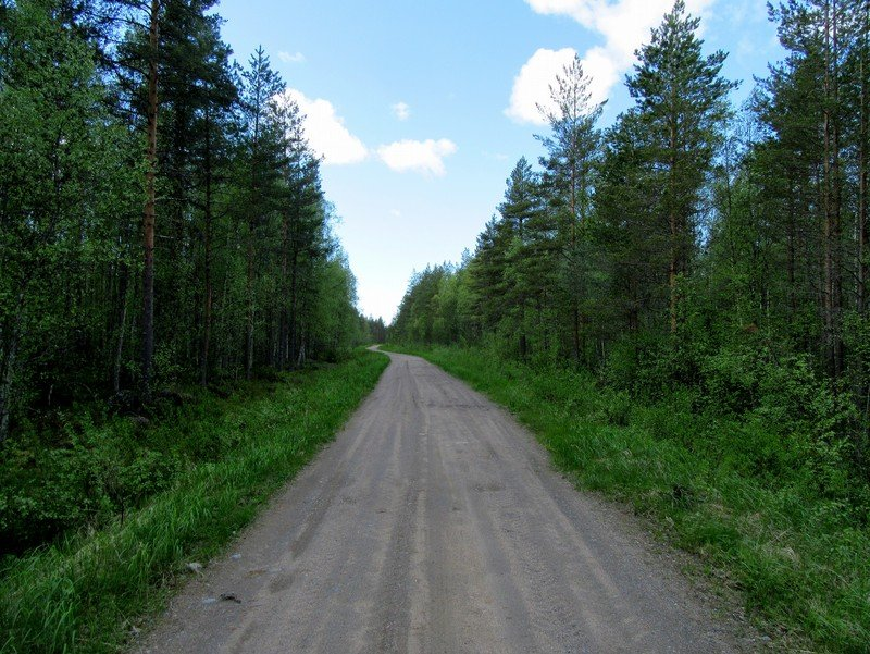 28 Kuva 31. Ulkopuolinen sähkönsiirtoreitti Ve 1 kuvattu luoteeseen. Tasainen ojitettu räme, nuorta kasvatusmetsikköä. Kuva 32. Ulkopuolinen sähkönsiirtoreitti Ve 2 kuvattu itään.
