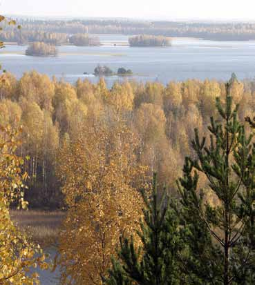 4. Erikoispalvelut ja muu toiminta Katsaus erikoispalveluihin 2013 Metsäomaisuuden hallintapalvelut jatkavat keskeisessä roolissa täyden palvelun metsätalossa.