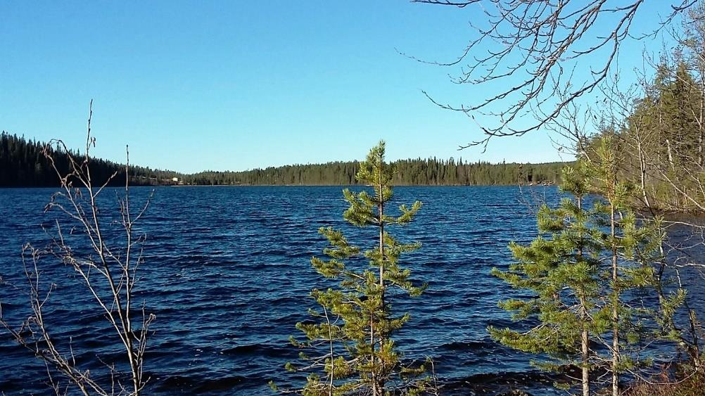 Puheenjohtajan terveiset Heippa ihanat jäsenet! Ihanat on syksyn ilmat olleet! Hallitus on ollut kiireinen. Pelvicus päivien ohjelman teossa askaretta. Alustava ohjelma on saatu tähän julkaisuun.