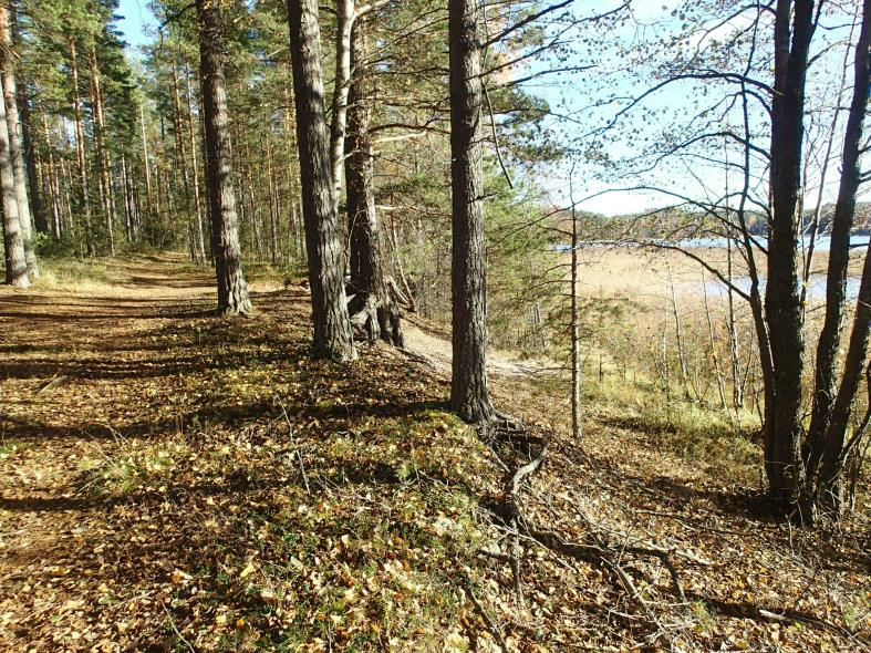 5 Lopputuloksena täytyy todeta, että on hyvin todennäköistä että alueella ei ole muinaisjäännöksiä muualla kuin aivan sen länsilaidalla.