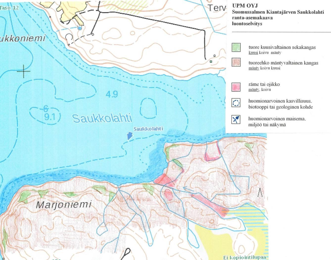 11 Suunnittelualueella on toteutettu laajasti harvennushakkuita. Puusto on tavanomaista yksilatvuksista noin 40-50 -vuotiasta mäntyvaltaista kangasta.