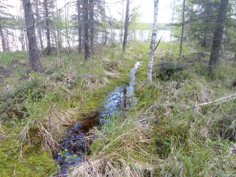 4 ja aluetta voidaan luonnehtia loivaksi mäkimaaksi (ks. kuva 1 alla). Soistuminen on tällä alueella huomattavasti vähäisempää. Erityisiä geomorfologisia muodostumia ei ole.