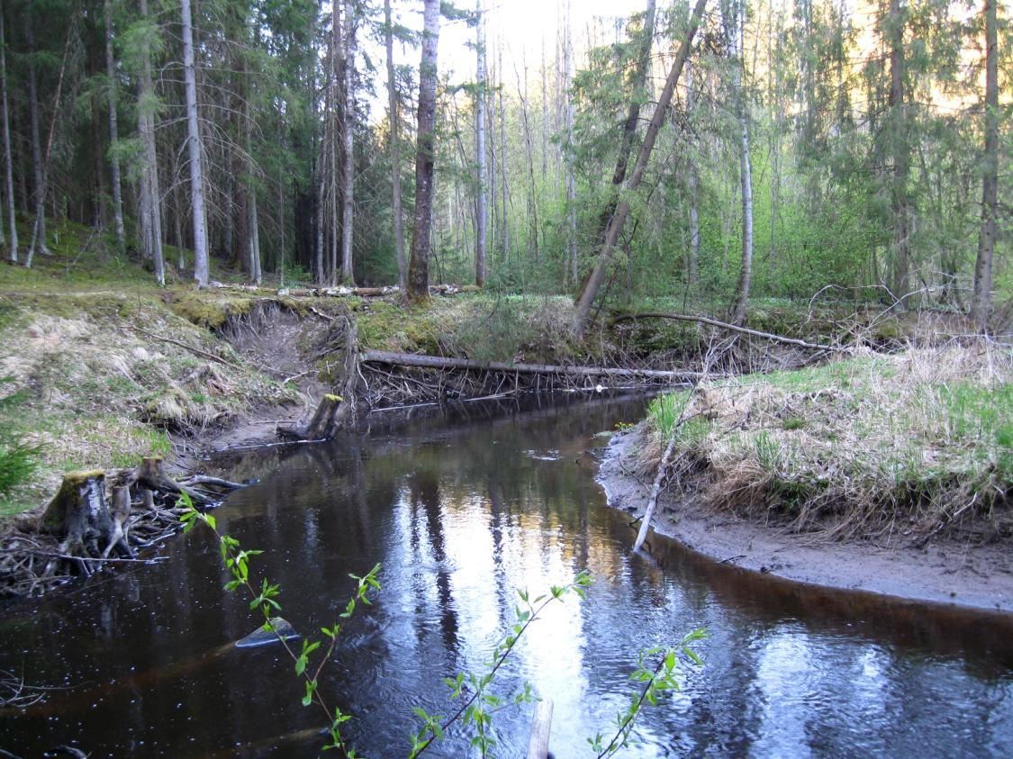 1 Johdanto Hyvinkään Kaukasten pesimälinnuston selvitys tehtiin Kaukasten asukasyhdistys ry:n tilaamana työnä.