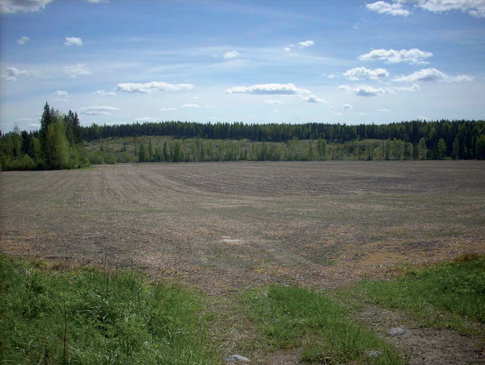 115 Kuva 8-13. Näkymä Kulokorven pellon pohjoislaidalta Harattan alueelle päin katsottaessa. Louhittavalta alueelta on hakattu metsä pääosin pois. Kuvattu 29.5.2008.