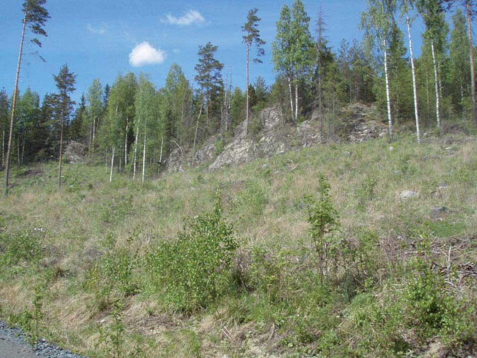 116 Kuva 8-14. Jukolan eteläpuoliset kalliojyrkänteet, jotka sijoittuvat suojavyöhykkeelle. Kuvattu 29.5.2008.