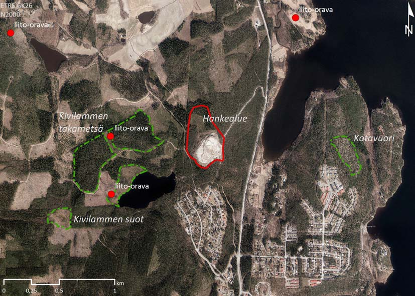 Jyväskylän kaupunki 101 Paikalla on pienimuotoinen kalliokohokkiesiintymä. Alue edustaa metsälaissa mainittua karukkokangasta puuntuotannollisesti vähätuottoisempaa kalliota. Kuva 47.