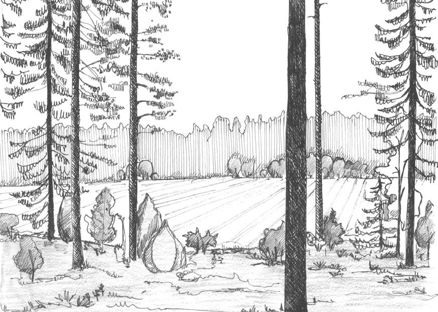Ylinnä: Uudet asuinalueet muuttavat usein vanhojen kylien rakennetta. Kylien ilme tulisi pyrkiä säilyttämään perinteisenä.