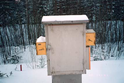 Kuva 2.. Yleiskuva vaihteelta V2 katsottuna. Noin veturin keulan kohdalla raiteen oikealla puolella olevan kaapin sivuilla on paikalliskääntöpainikekotelot. Figure 2.