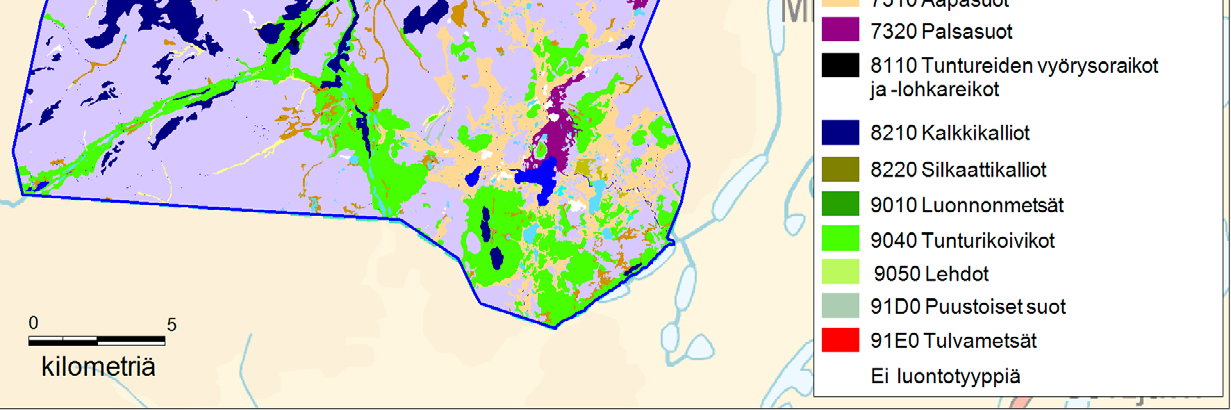 Kuva 3. Luontodirektiivin luontotyypit Valtaosa alueesta kuuluu luontotyyppiin tunturikankaat.