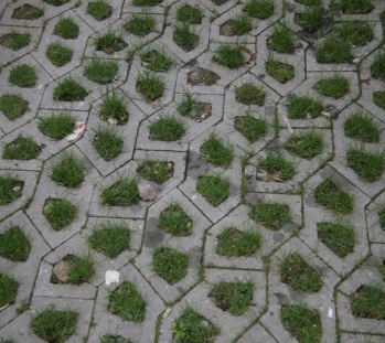 LATOKARTANONKAARI Combining stormwater management, landscaping,