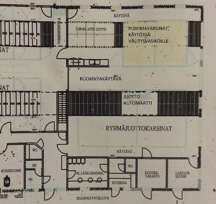 35 kerralla, ruuhka-aikoina vasikoita voi olla yksilökarsinoissa enemmänkin. Toisessa ryhmäkarsinassa vasikat ovat yleensä jo juotolta vieroitettuja.