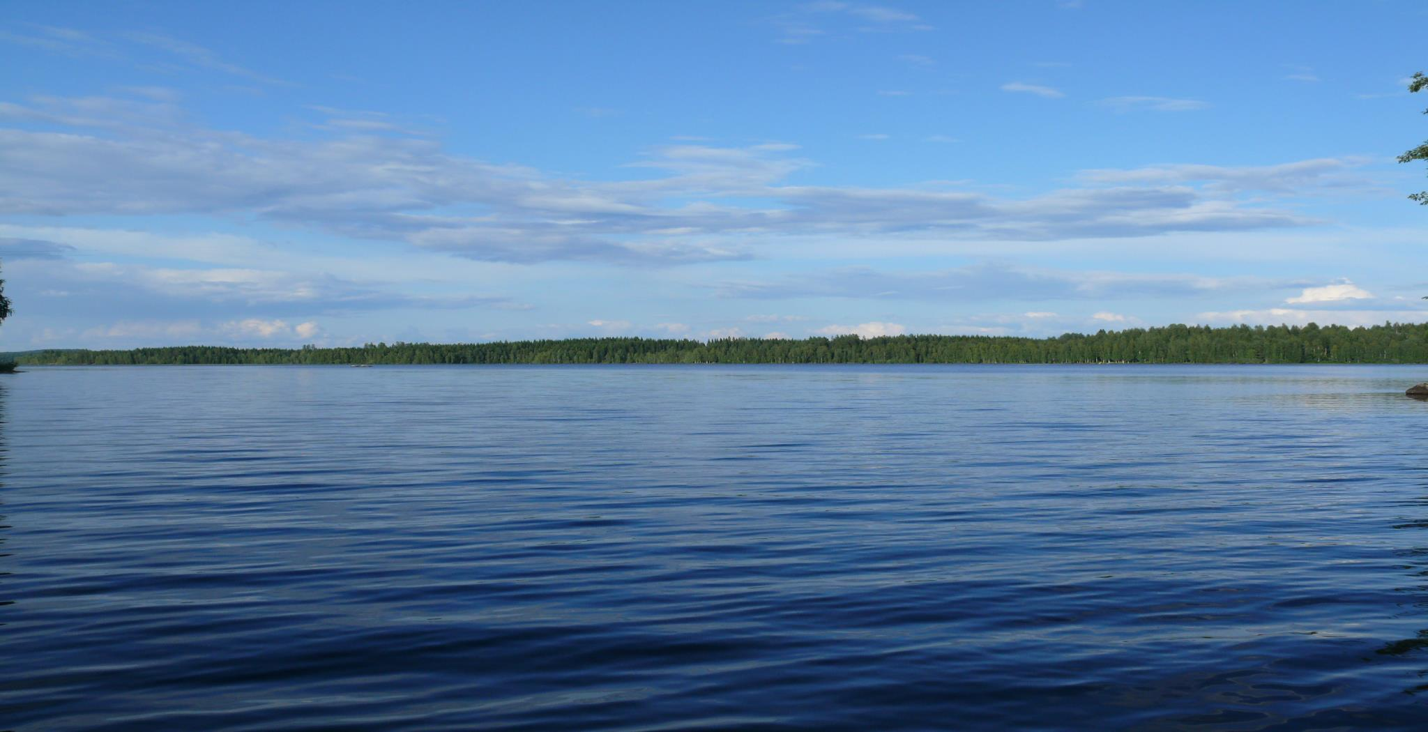 Pohjoiskarjalaisia luomutiloja, ole hyvä Pohjoiskarjalaisten luomutilojen kirjo on kohtalaisen suuri.