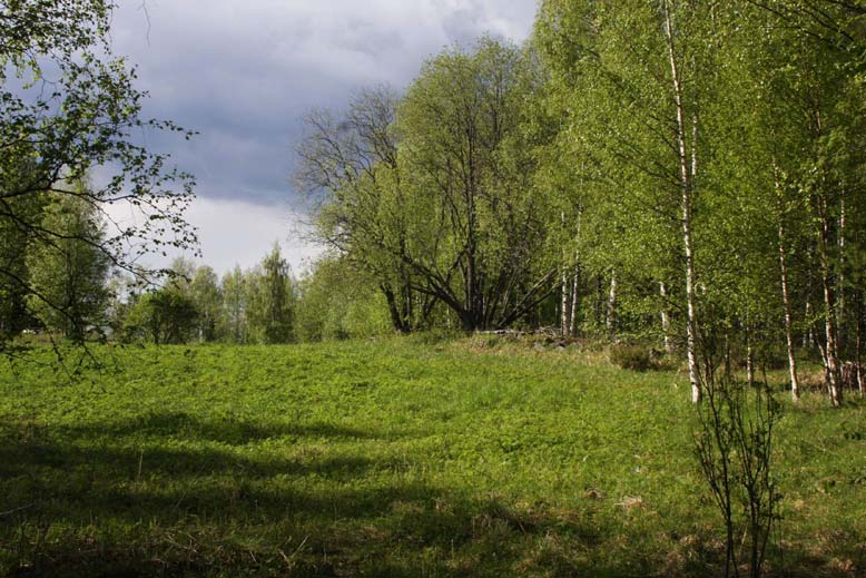 118 Kivisuo - Muhos, Utajärvi, Oulu. Turvetuotantoalueen Kuva 24. Kivijärvenkankaan perinnemaisemaa. Kuva: S. Nenonen. saarekkeet sulkevat ulkoapäin näkymän avoimille suoalueille.