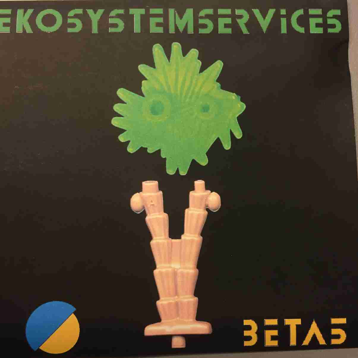 Ekosysteemipuheen kritiikkiä - luonnon välinearvo vs. luonnon itseisarvot - saat mitä mittaat: BKT vs. kestävän kehityksen indikaattorit - yksityisomaisuus vs.