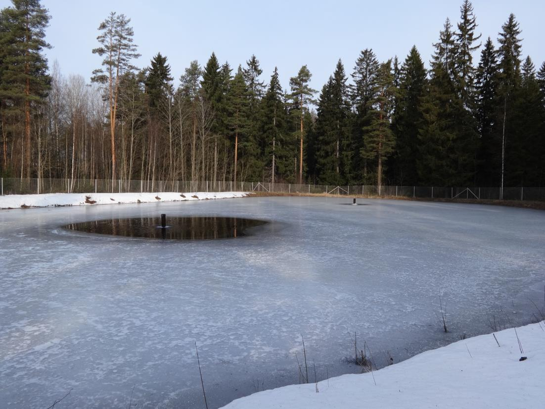 18 Altaan pohjalla on keinotekoinen suodatinhiekkakerros, jonka tulisi olla noin 0,5 1,0 metriä paksu (Helmisaari ym. 2003, 13). Allasimeytys toimii hidassuodatuksen periaatteella.