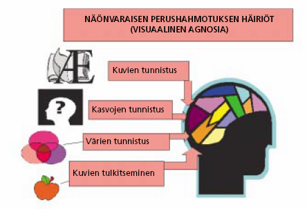 11 3.2.1 Visuaalinen agnosia Visuaalinen agnosia tarkoittaa vaikeutta tunnistaa aikaisemmin tuttuja kohteita, kuten esineitä ja kuvia. Jopa lähiomaisten kasvojen tunnistaminen voi vaikeutua.