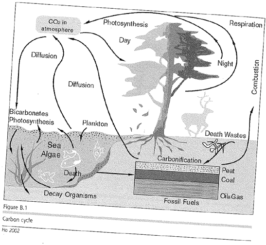 4.6.2012 154 / 232 Ekosysteemeistä mallien ottaminen johtaa myös sellaisten käsitteiden käyttöön ottoon kuin bioregionalism (biologisten järjestelmien alueellisuus), biomimicry (biologisten