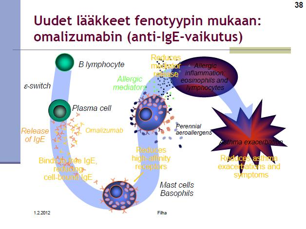 Allerginen tulehdus,