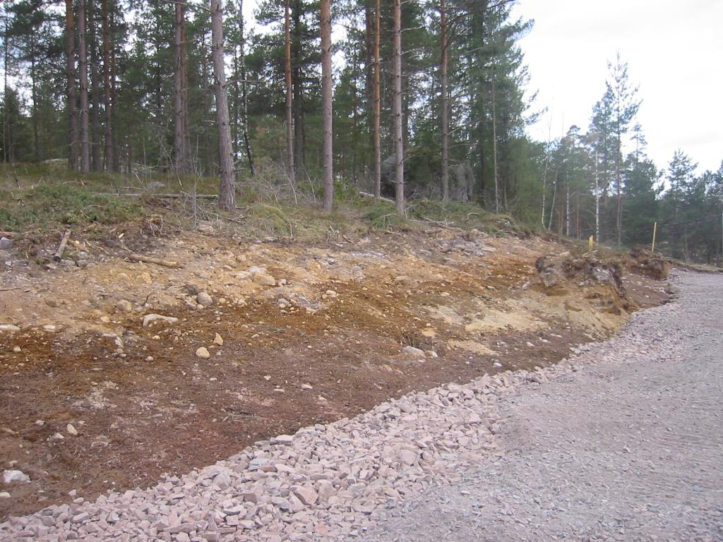 - täysikasvuisen kasvin juuristo leviää perusmaahan, joten sen laatu on myös tunnettava Maa-ainesten (vesiolot, ravinteet, tuntemus lämpösuhteet, ja rakenne) hyödyntäminen maisemoinnissa - Suomen