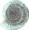 12 7. Aineistoluettelo Digitaalinen aineisto: Arkistolaitoksen digitaaliarkisto, Evijärvi pitäjänkartat, http://digi.narc.fi/digi/dosearch.ka?new=1&haku=evij%e4rvi Geologian tutkimuskeskus, http://gtkdata.